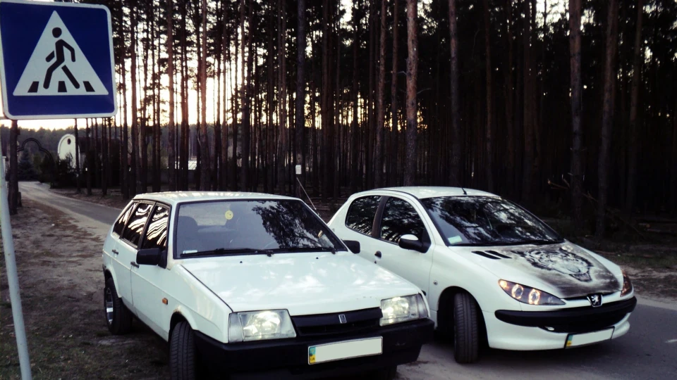 Peugeot 206 Бенгальський Тигр 4