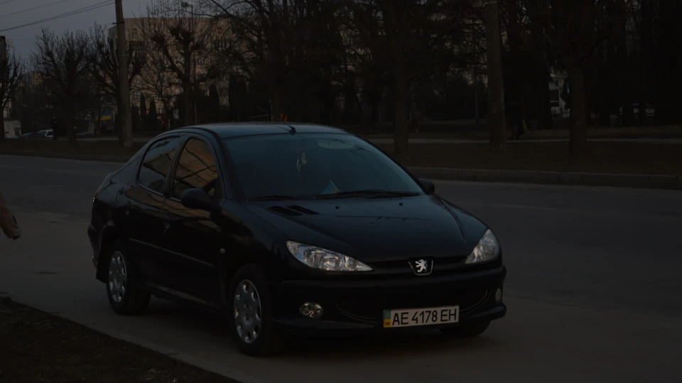 Peugeot 206 Black_Lion 2