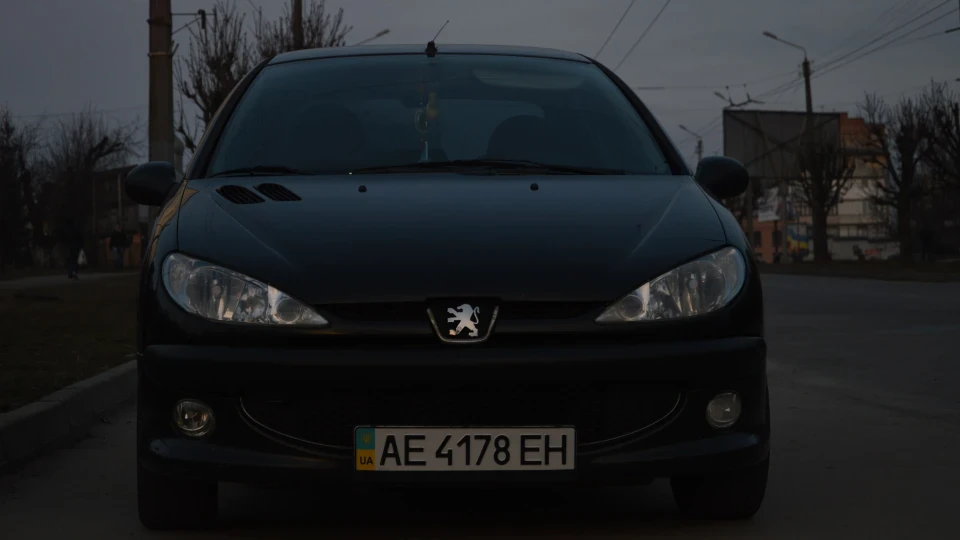 Peugeot 206 Black_Lion 3