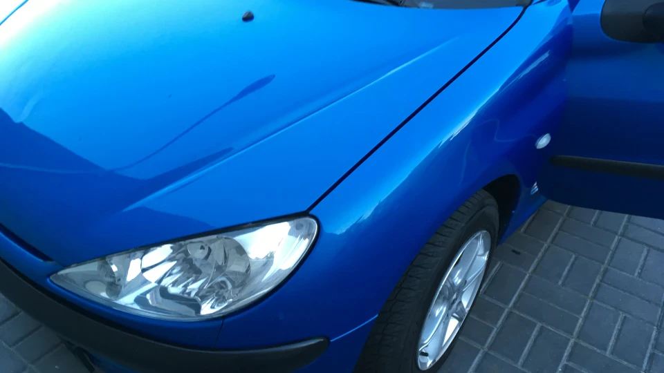 Peugeot 206 Blue Fastback 4