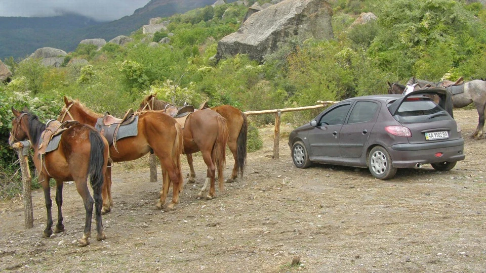 Peugeot 206 Колір особливий 5