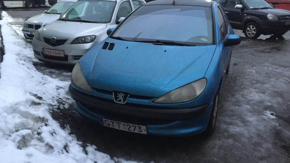 Peugeot 206 GTT-273