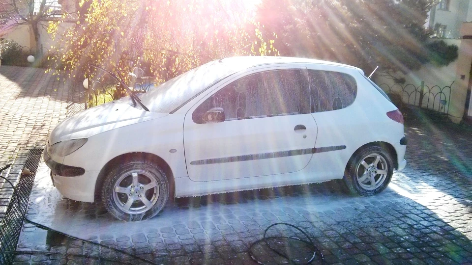 Peugeot 206 Капсула смерті D 2