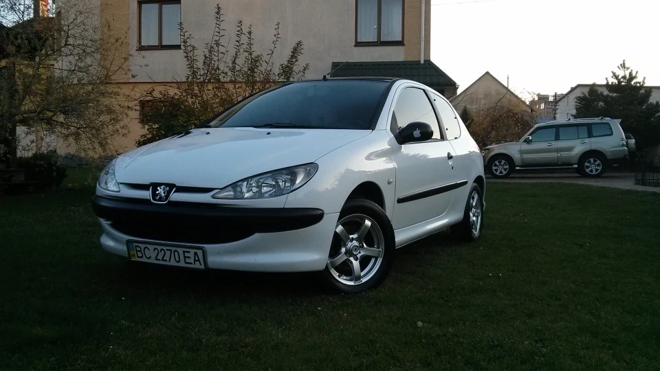 Peugeot 206 Капсула смерті D 3