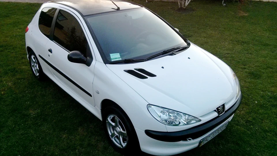 Peugeot 206 Капсула смерті D 4