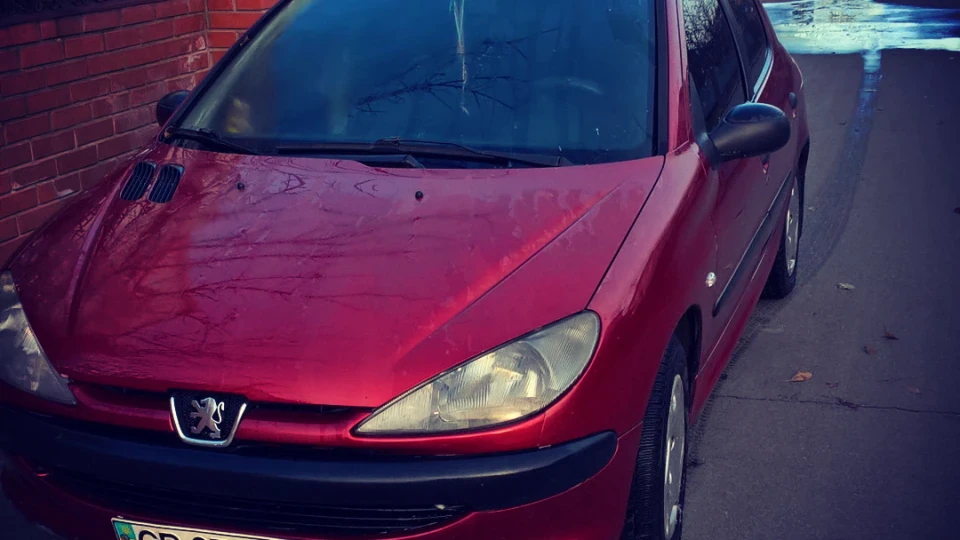 Peugeot 206 Левиця 5
