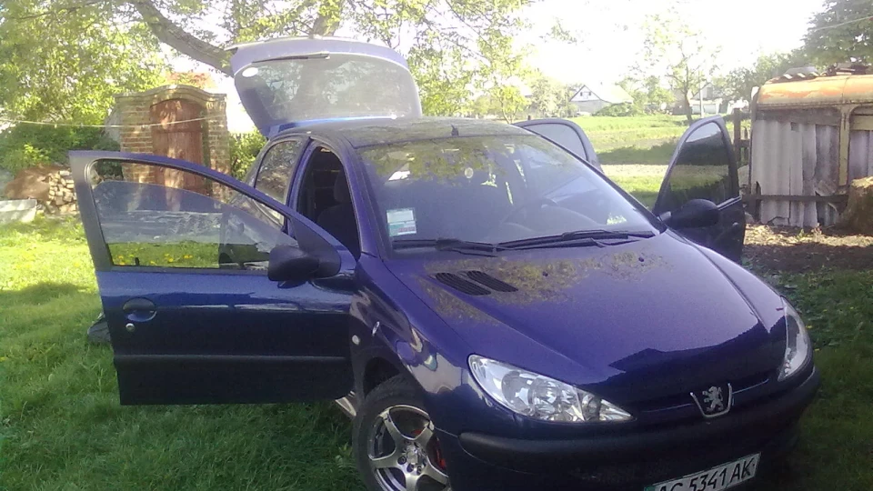 Peugeot 206 МАЛЕНЬКИЙ ПИЖИК