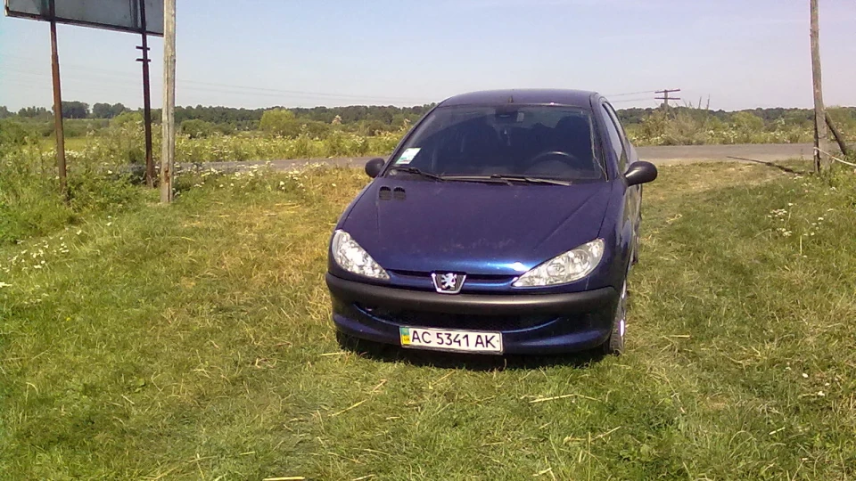 Peugeot 206 МАЛЕНЬКИЙ ПИЖИК 2