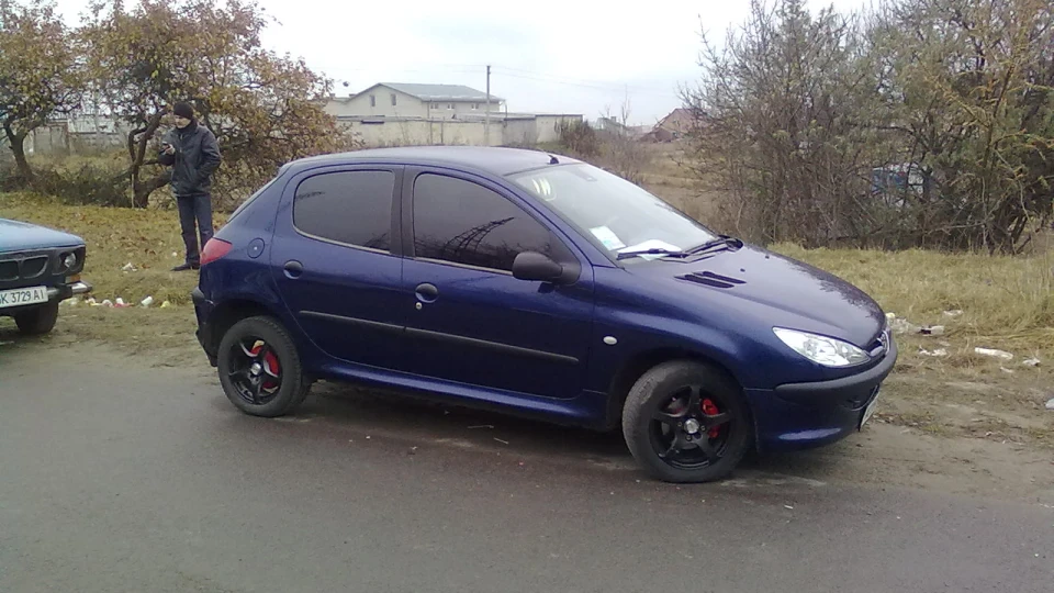 Peugeot 206 МАЛЕНЬКИЙ ПИЖИК 3