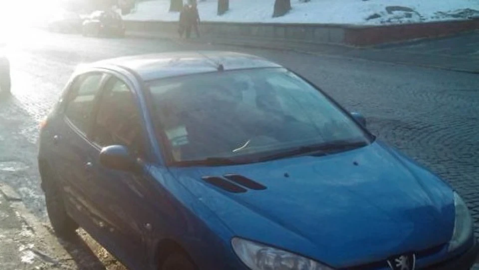 Peugeot 206 не король - але ПРИНЦ ;-) 2