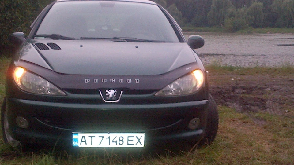Peugeot 206 Peugeot Roland Garros 3