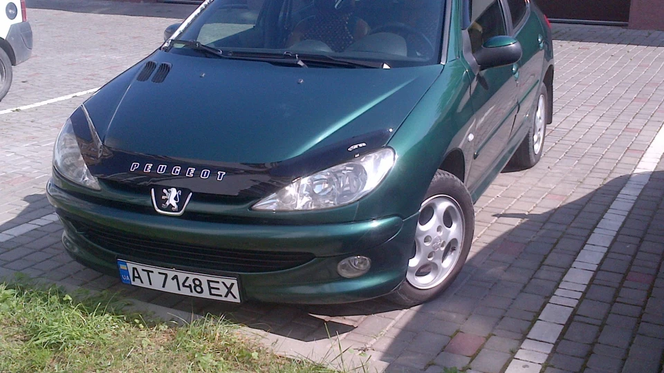 Peugeot 206 Peugeot Roland Garros 5