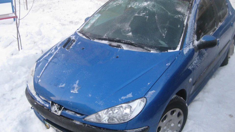 Peugeot 206 Піжик 2