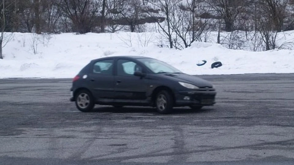 Peugeot 206 Піжюля сток-стокович