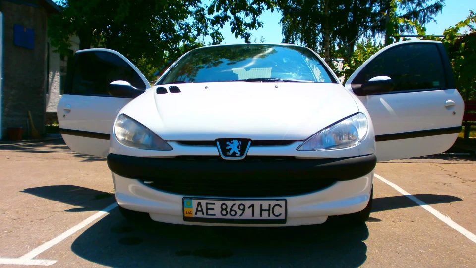 Peugeot 206 Пижон))) 3