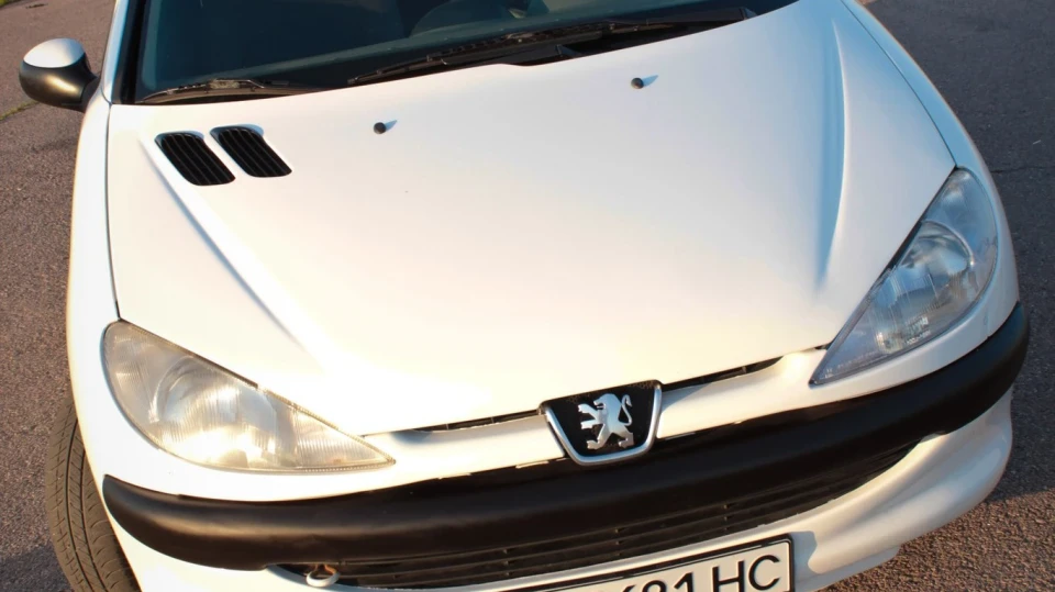 Peugeot 206 Пижон))) 5