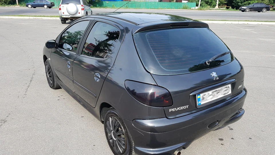 Peugeot 206 Пижа 3