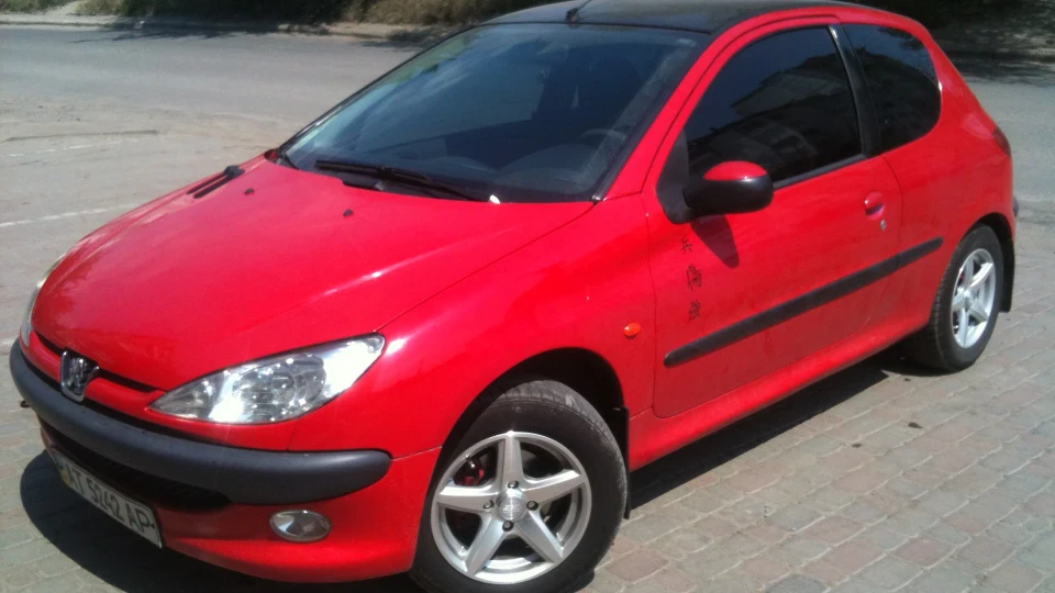 Peugeot 206 Пижик 2