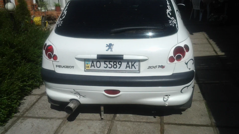 Peugeot 206 пижик 2