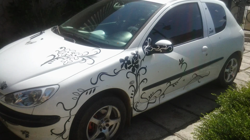 Peugeot 206 пижик 3