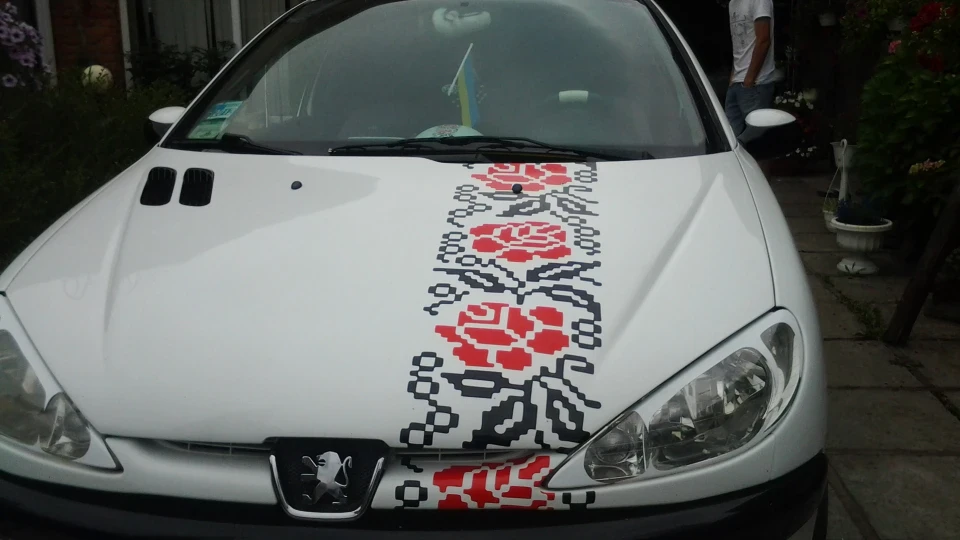 Peugeot 206 пижик 4