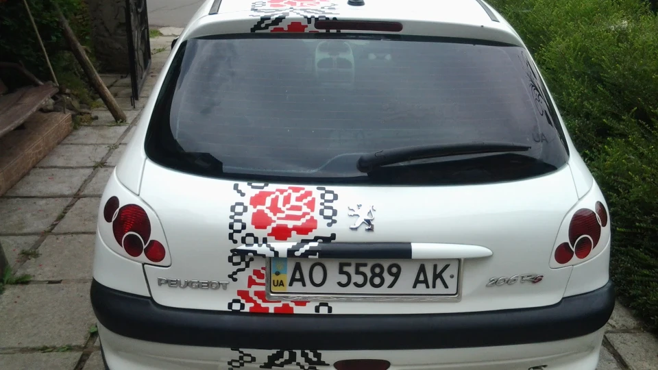 Peugeot 206 пижик 5