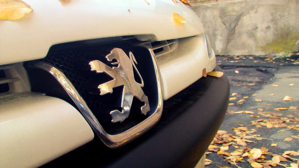 Peugeot 206 ░▒▓█REC█▓▒░ 3