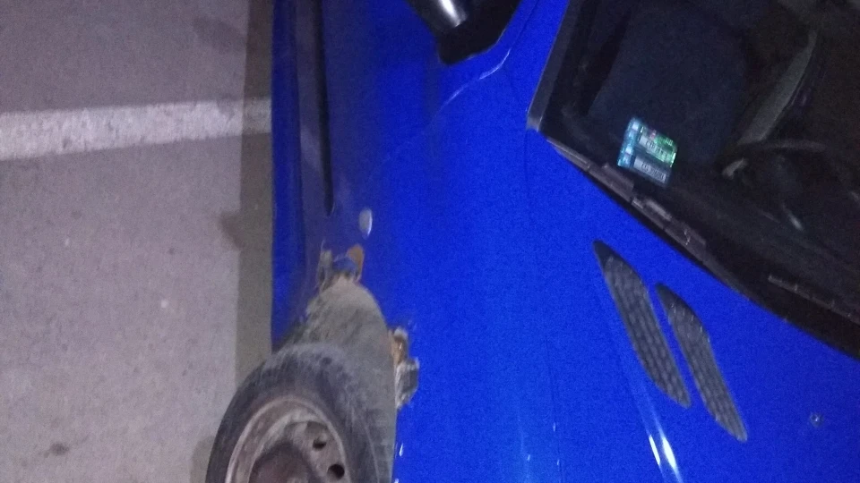 Peugeot 206 Синій 🐉 2