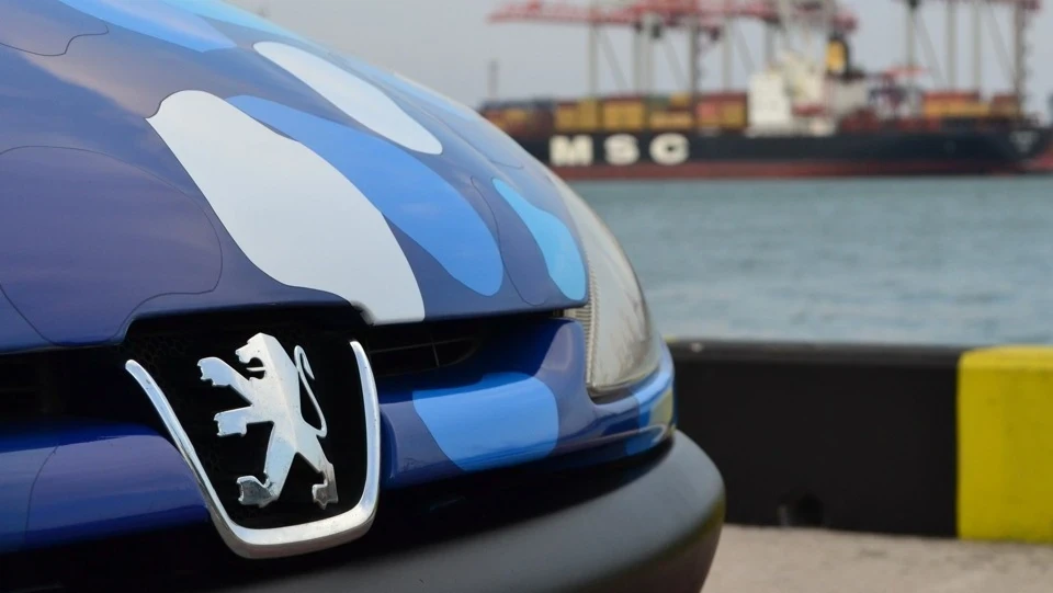 Peugeot 206 ♥Stance♥ 2
