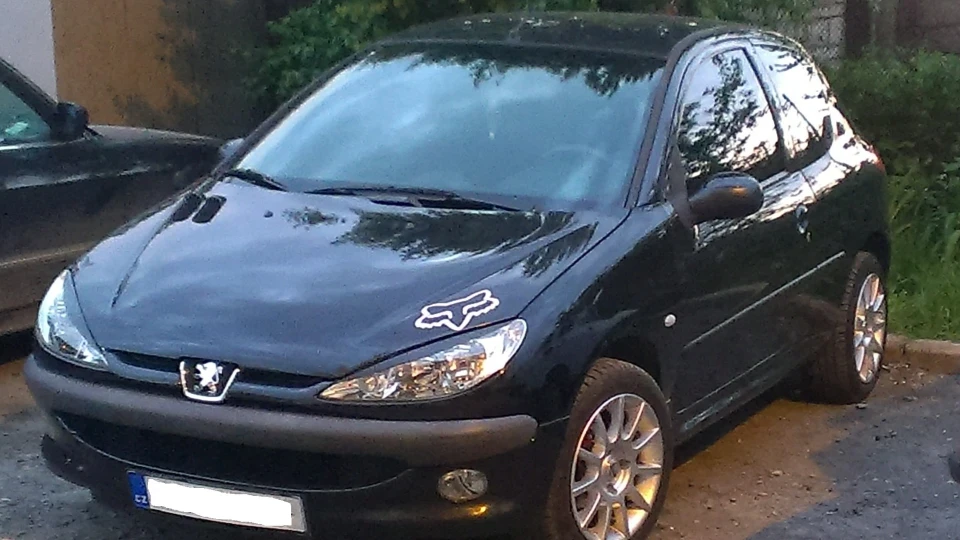 Peugeot 206 Жаль не Turbo