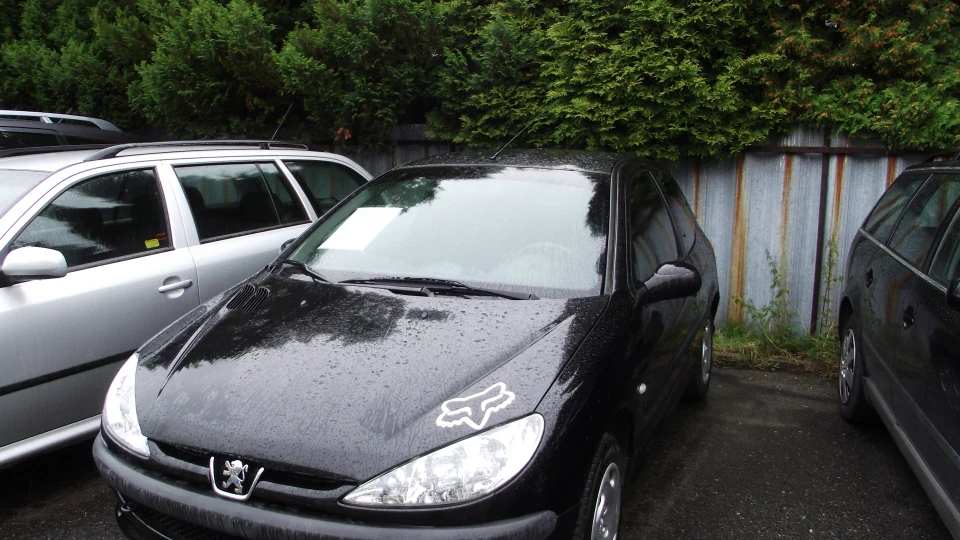 Peugeot 206 Жаль не Turbo 4