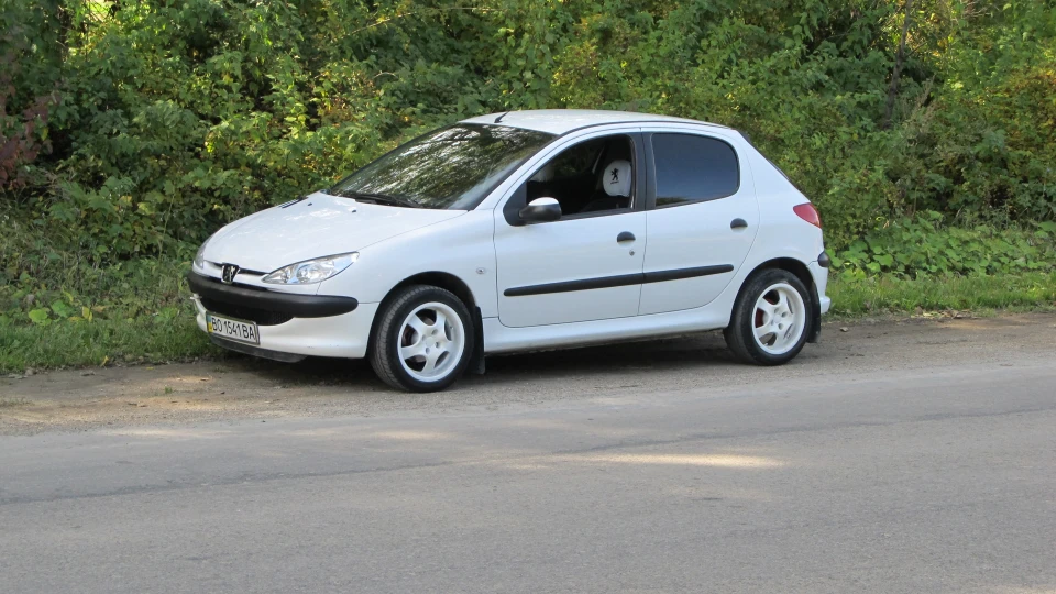 Peugeot 206 ЖиВчИк) 2