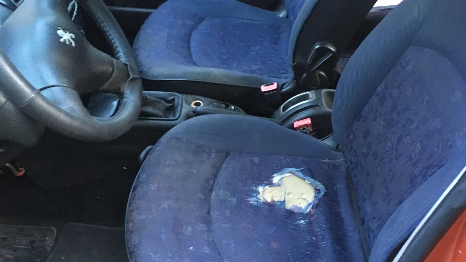 Peugeot 206 Жужа 3
