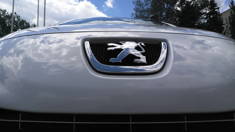 Peugeot 207 5
