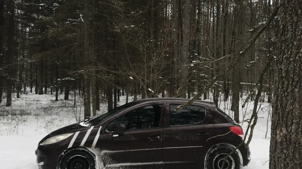 Peugeot 207 1.4 hdi 3
