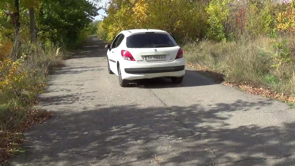 Peugeot 207 Чижик-пижик 2