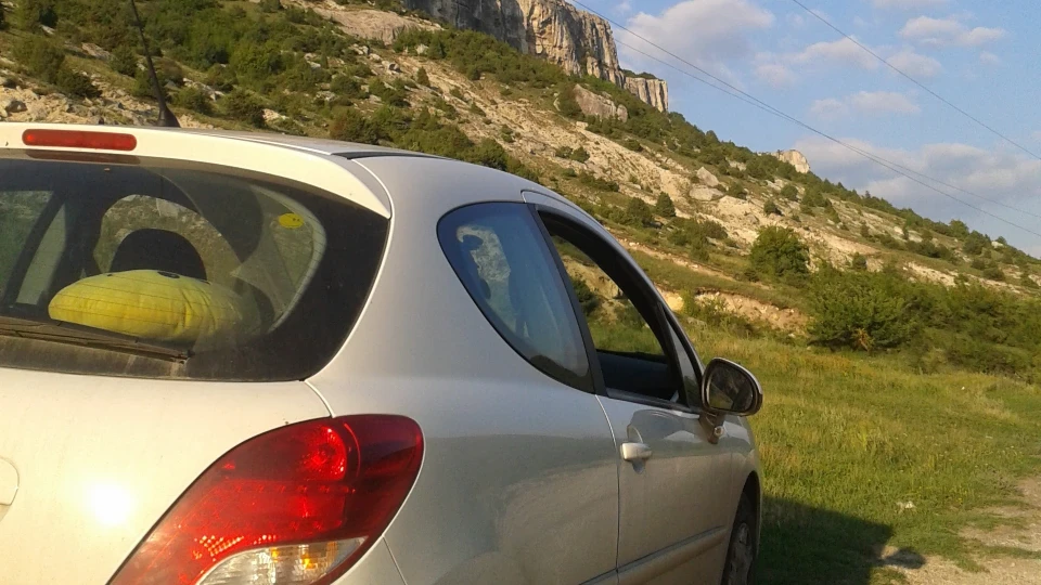 Peugeot 207 Позитивний Лев 2