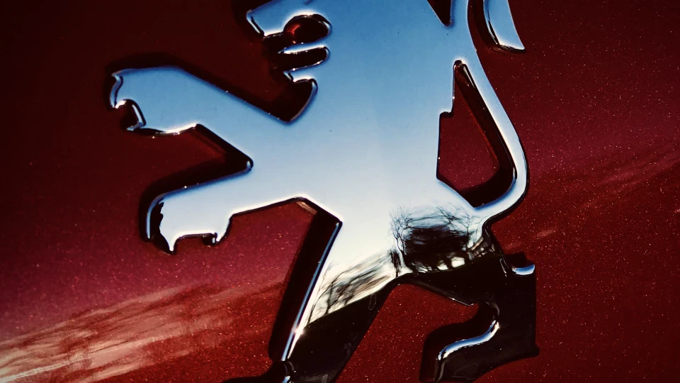 Peugeot 207 “shadow red” 4