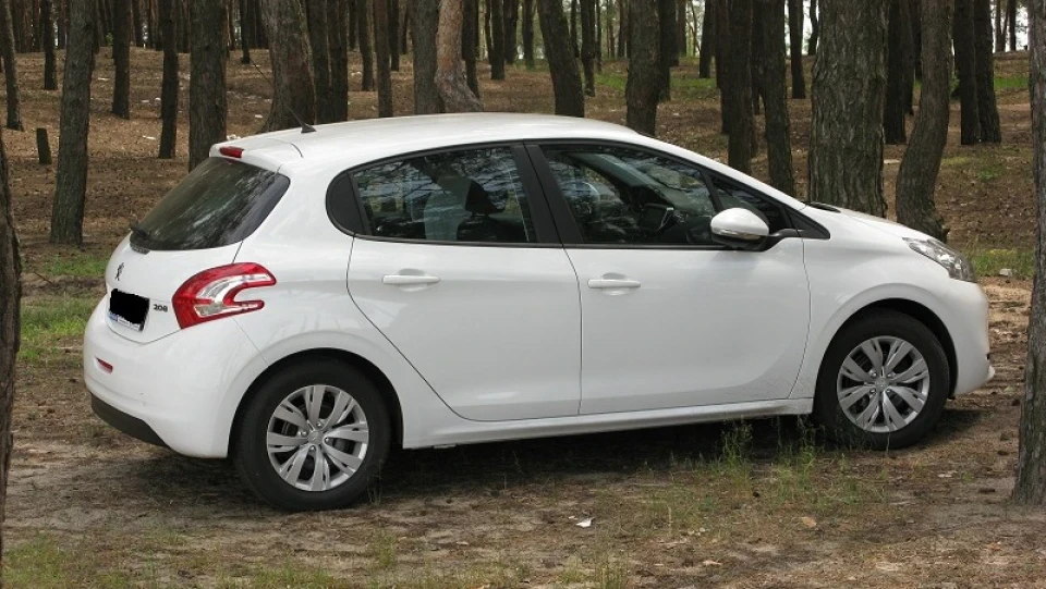 Peugeot 208 Істинний Пежон♊ 2