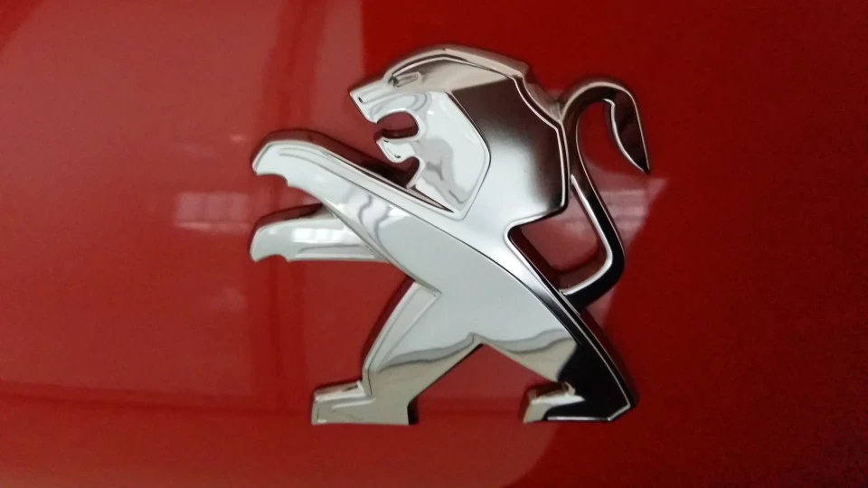 Peugeot 208 Теракот
