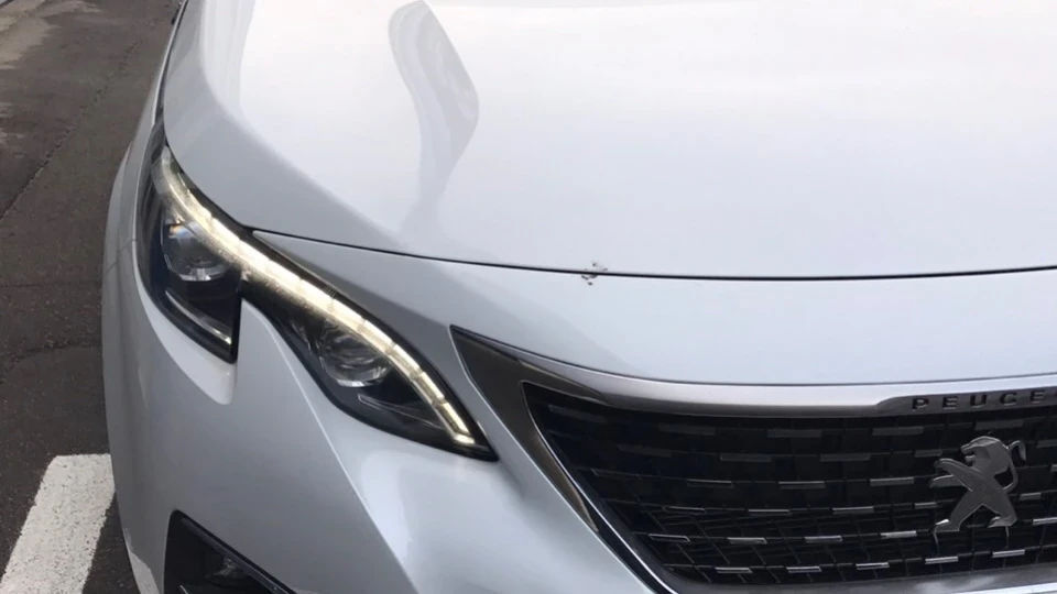 Peugeot 3008 Бебек-чебурек 2