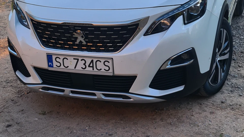 Peugeot 3008 БІЛИЙ ЛЕВ 3