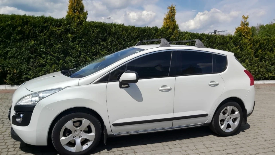 Peugeot 3008 Білка 🐿️ Пижа