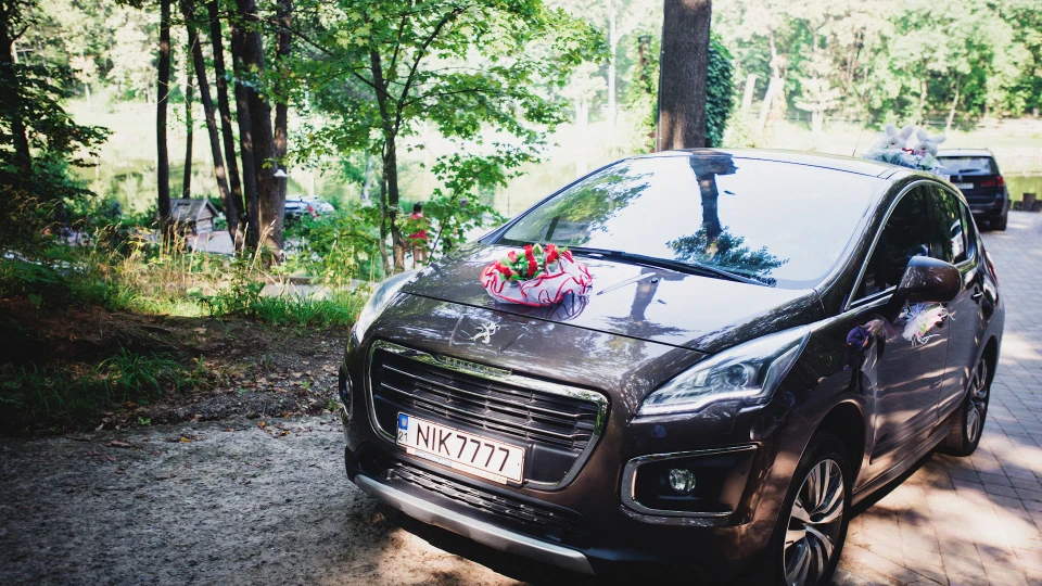 Peugeot 3008 Коричневий бегемот 3