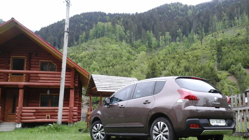 Peugeot 3008 Коричневий бегемот 5