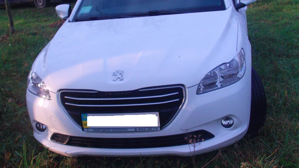 Peugeot 301 Active 1.6HDI Мурчун 5