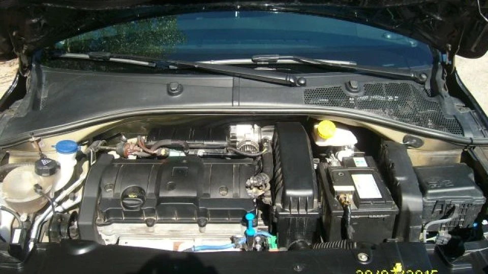 Peugeot 301 Чорна пантера 3