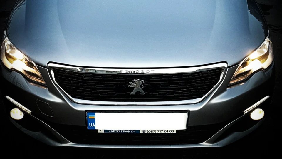 Peugeot 301 Пижман 2