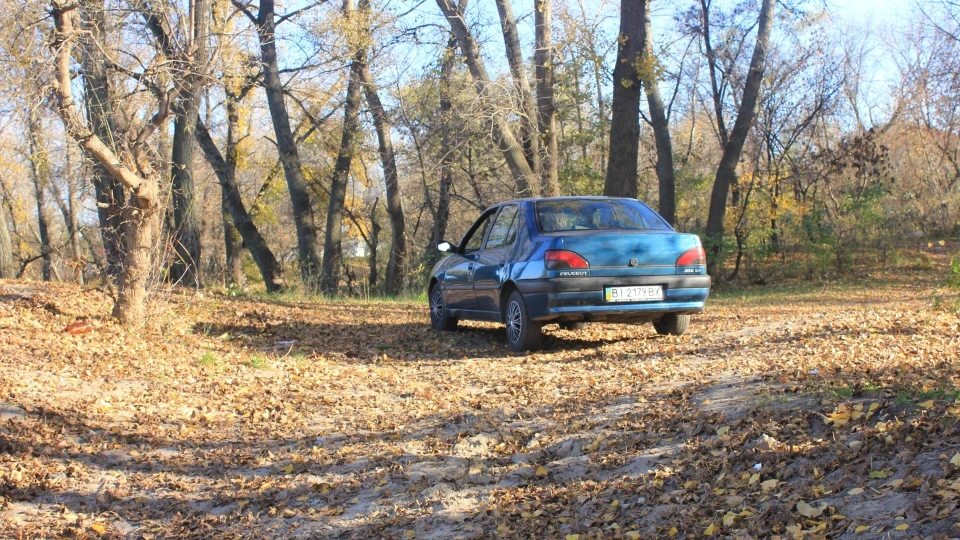 Peugeot 306 ПежЮЛЬКА 5