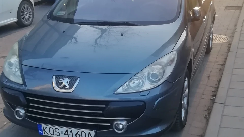 Peugeot 307 SW 2